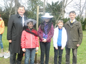 Sajenje lipe_2.4 (7)