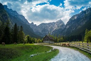 11061710_10207481178215706_2821462498047611439_o